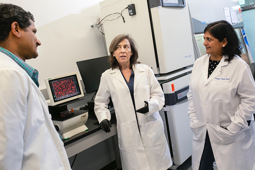three researchers talking in a lab